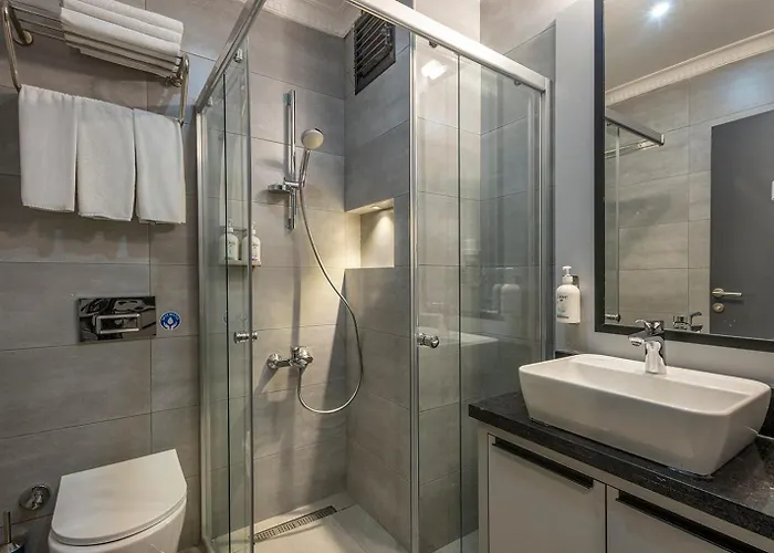 Garner - Airport Arnavutkoy By Ihg Hotel