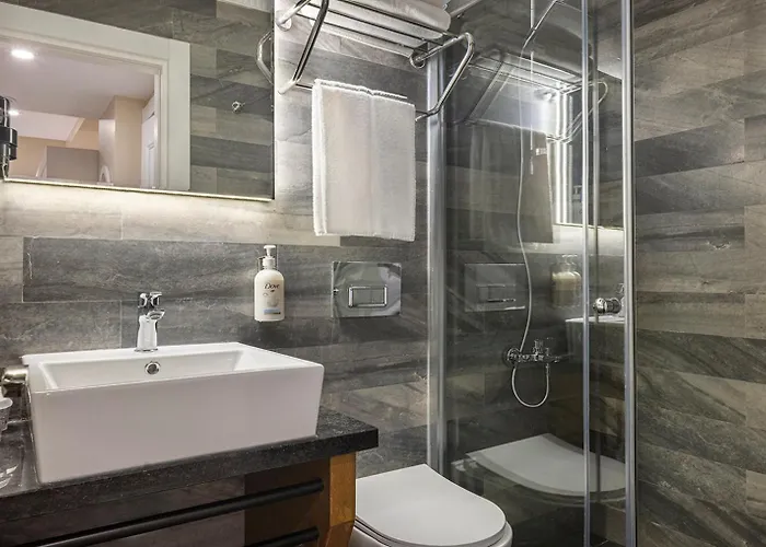 Garner - Airport Arnavutkoy By Ihg Istanbul